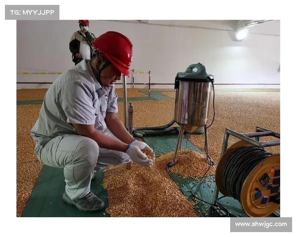 中储粮的良心:保障国家粮食安全的先锋力量(中储粮保供稳市) 中储粮的良心:保障国家粮食安全的先锋力量(中储粮保供稳市)